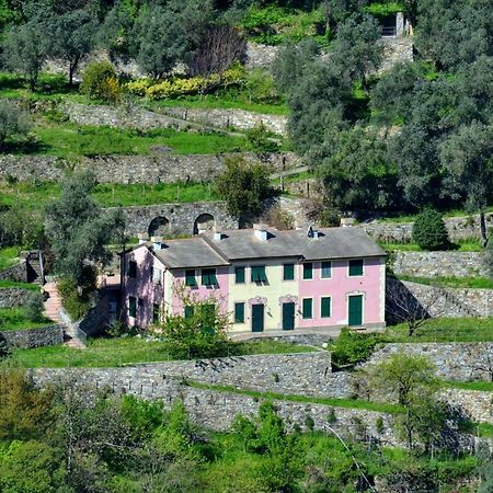 Villa Olivari - Apt La Lavanda Camogli Εξωτερικό φωτογραφία