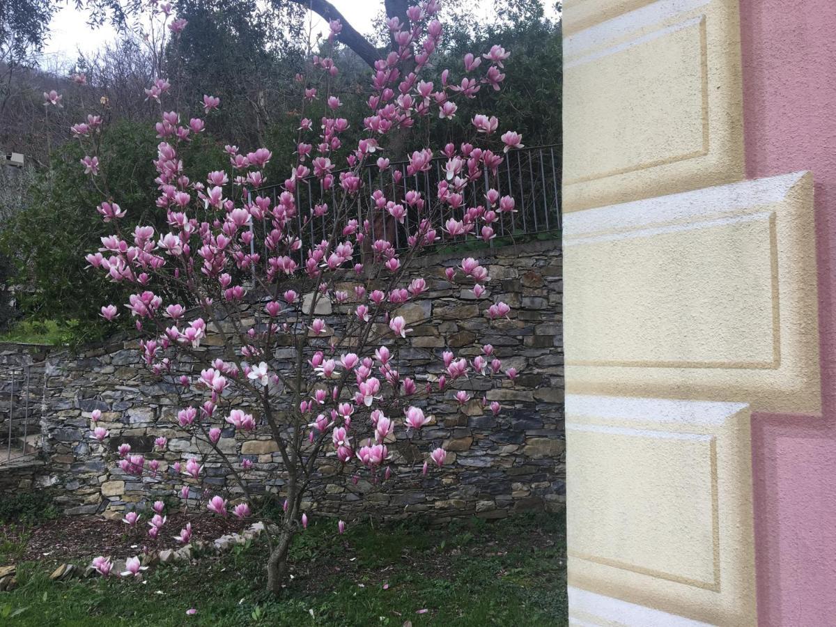 Villa Olivari - Apt La Lavanda Camogli Εξωτερικό φωτογραφία