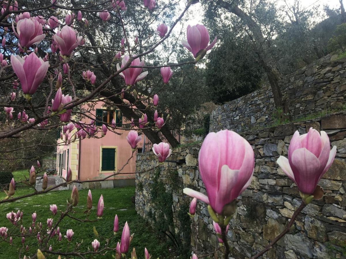 Villa Olivari - Apt La Lavanda Camogli Εξωτερικό φωτογραφία