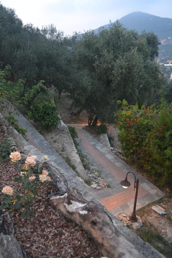 Villa Olivari - Apt La Lavanda Camogli Εξωτερικό φωτογραφία