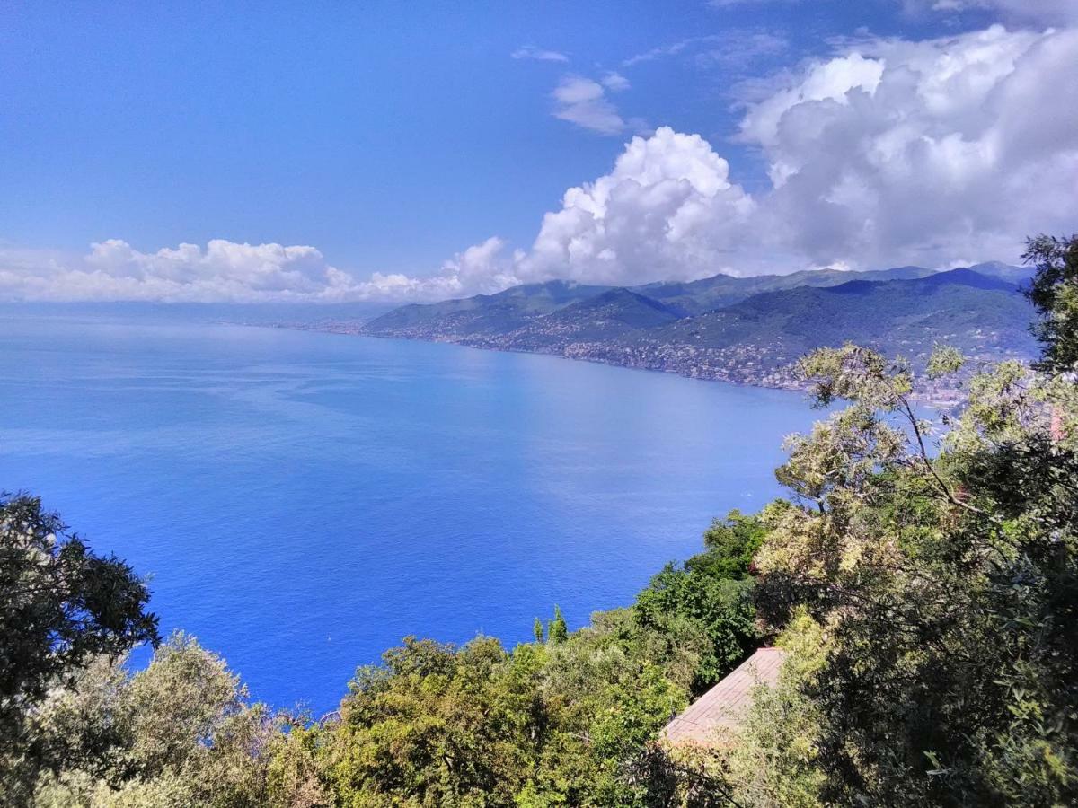 Villa Olivari - Apt La Lavanda Camogli Εξωτερικό φωτογραφία