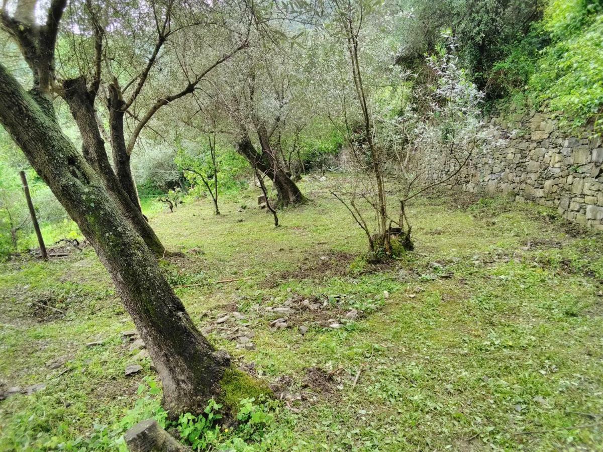 Villa Olivari - Apt La Lavanda Camogli Εξωτερικό φωτογραφία