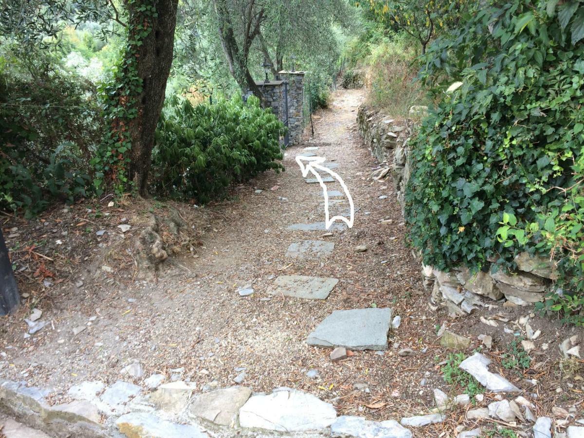 Villa Olivari - Apt La Lavanda Camogli Εξωτερικό φωτογραφία