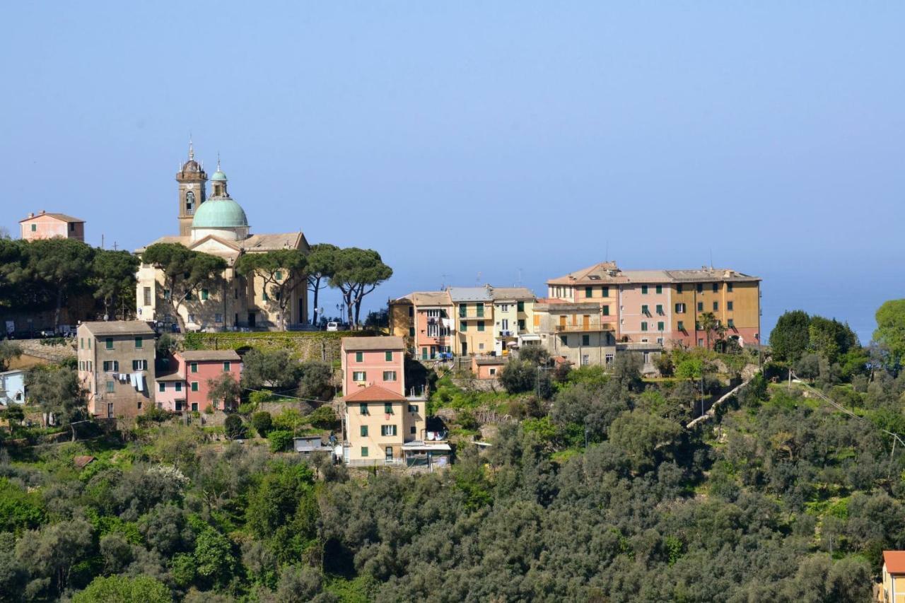 Villa Olivari - Apt La Lavanda Camogli Εξωτερικό φωτογραφία