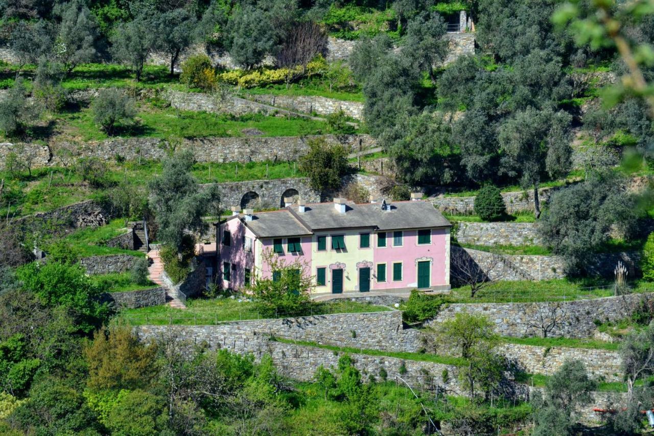 Villa Olivari - Apt La Lavanda Camogli Εξωτερικό φωτογραφία