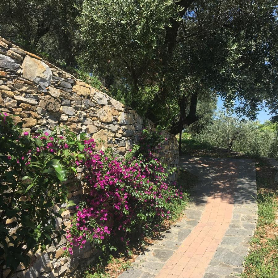 Villa Olivari - Apt La Lavanda Camogli Εξωτερικό φωτογραφία